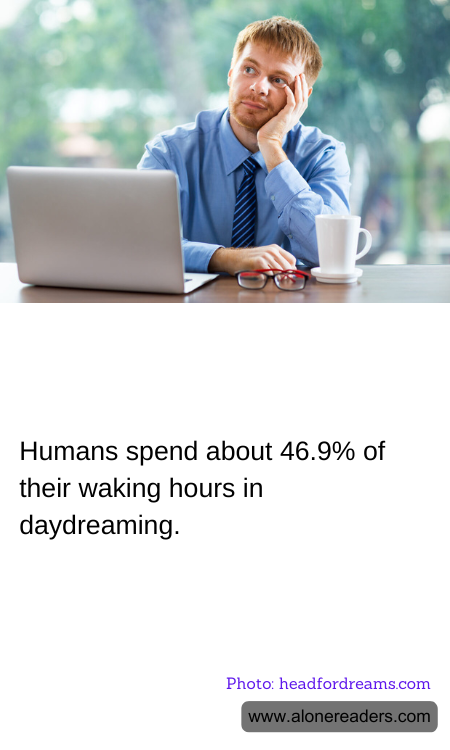 General Knowledge Learning Cards