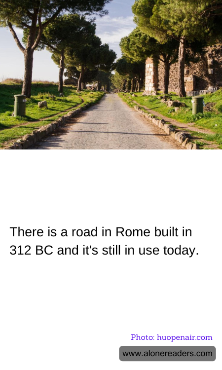 General Knowledge Learning Cards