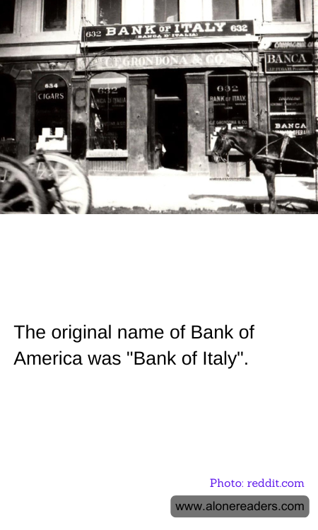 General Knowledge Learning Cards