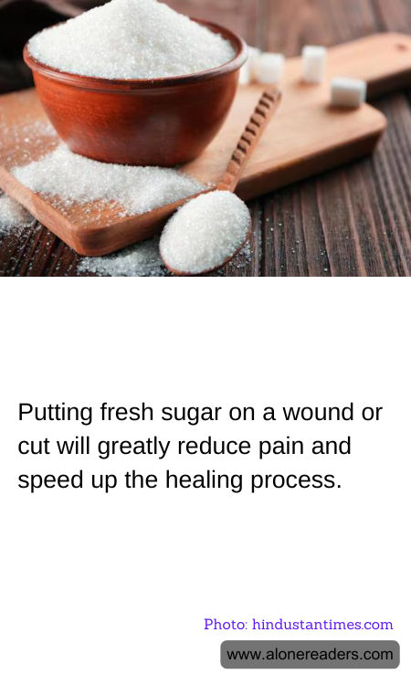 General Knowledge Learning Cards