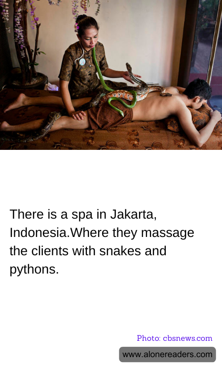 General Knowledge Learning Cards