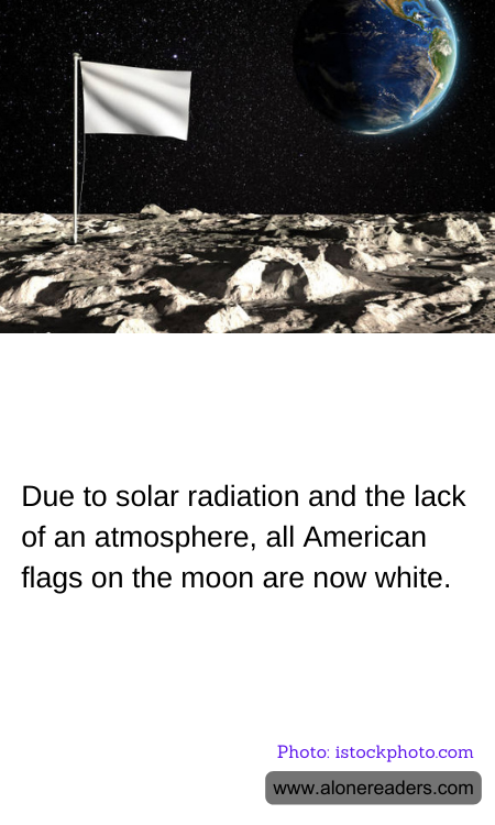 General Knowledge Learning Cards