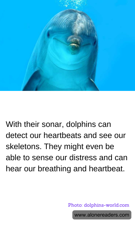 With their sonar, dolphins can detect our heartbeats and see our skeletons. They might even be able to sense our distress and can hear our breathing and heartbeat.