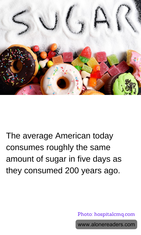 General Knowledge Learning Cards