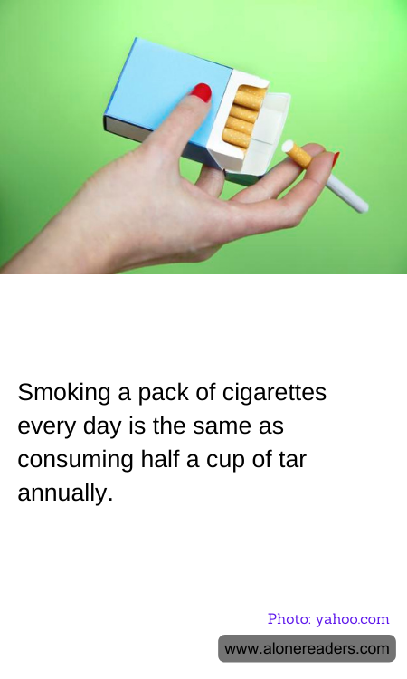 General Knowledge Learning Cards