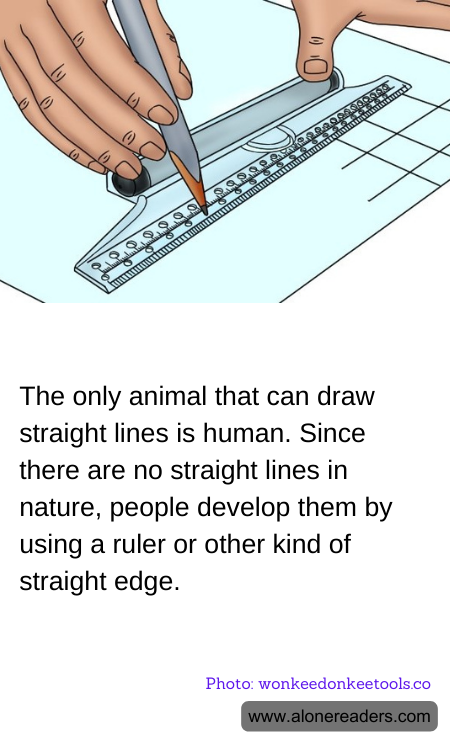 General Knowledge Learning Cards