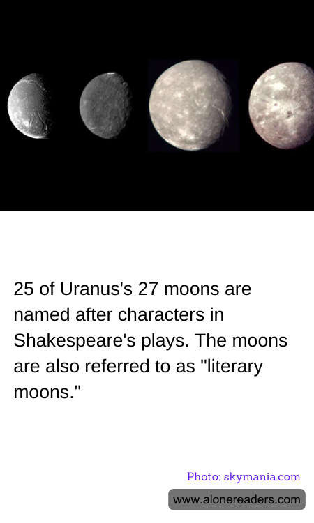 General Knowledge Learning Cards