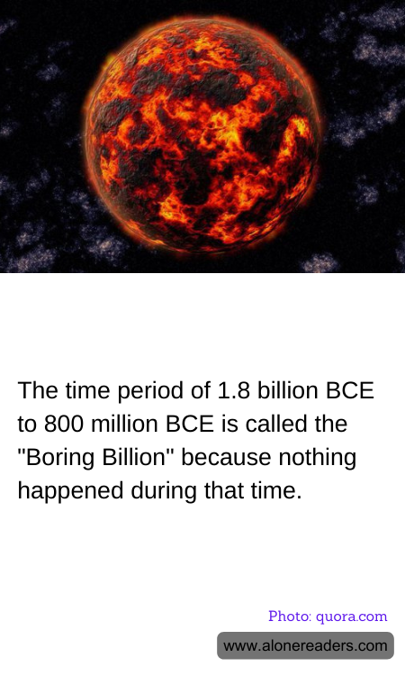 General Knowledge Learning Cards