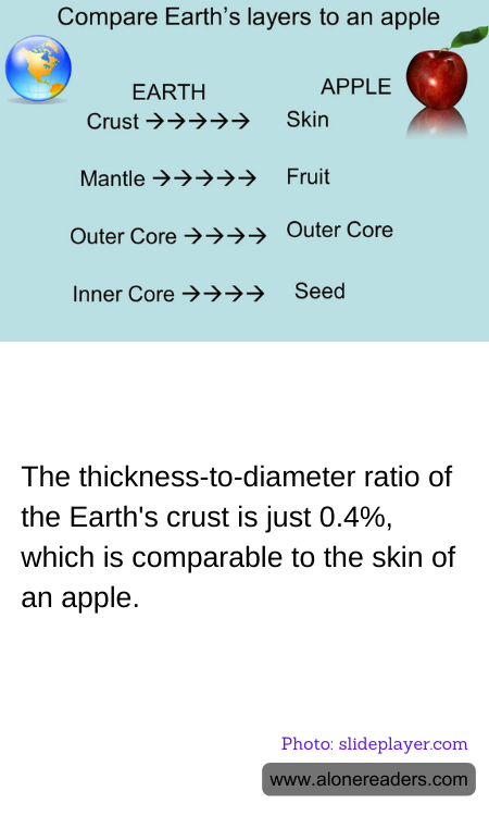 General Knowledge Learning Cards