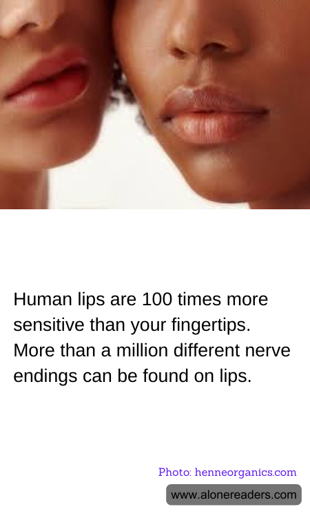 Human lips are 100 times more sensitive than your fingertips. More than a million different nerve endings can be found on lips.