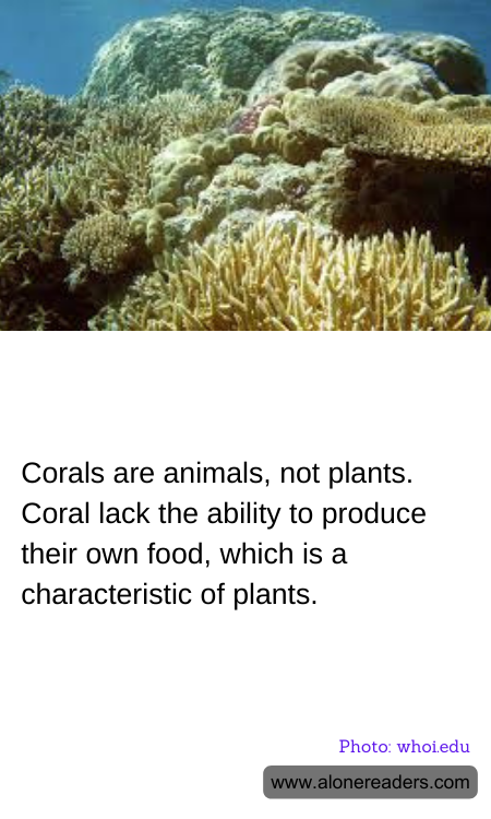 Corals are animals, not plants. Coral lack the ability to produce their own food, which is a characteristic of plants.