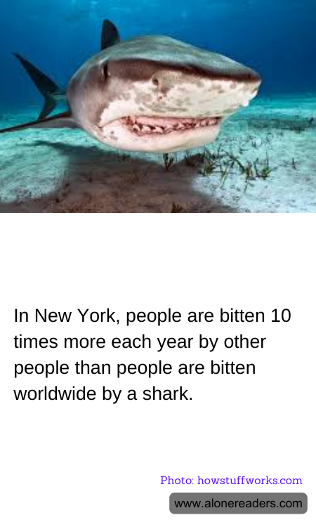 In New York, people are bitten 10 times more each year by other people than people are bitten worldwide by a shark.