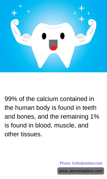 99% of the calcium contained in the human body is found in teeth and bones, and the remaining 1% is found in blood, muscle, and other tissues.