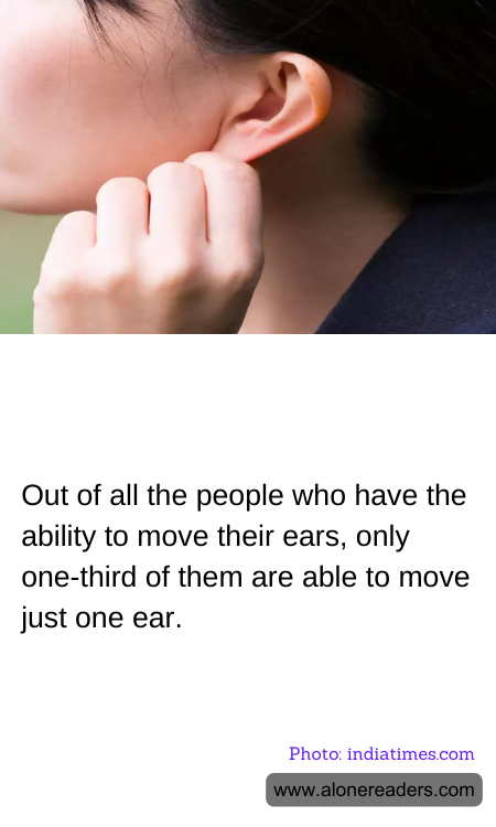 General Knowledge Learning Cards