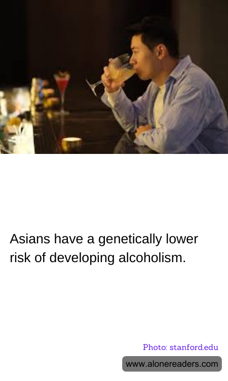 General Knowledge Learning Cards