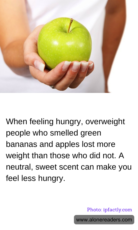 General Knowledge Learning Cards