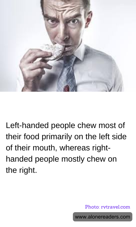 General Knowledge Learning Cards