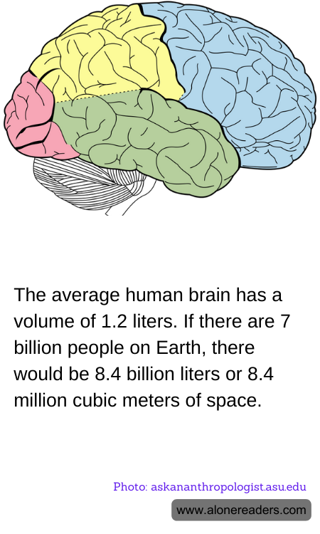 General Knowledge Learning Cards