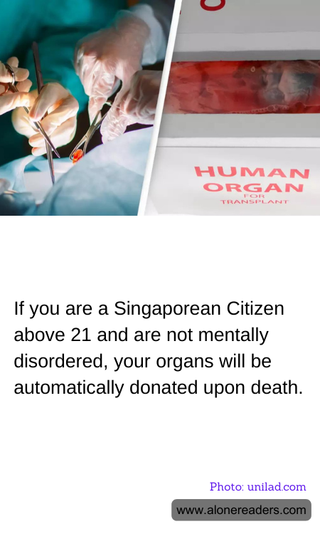 General Knowledge Learning Cards