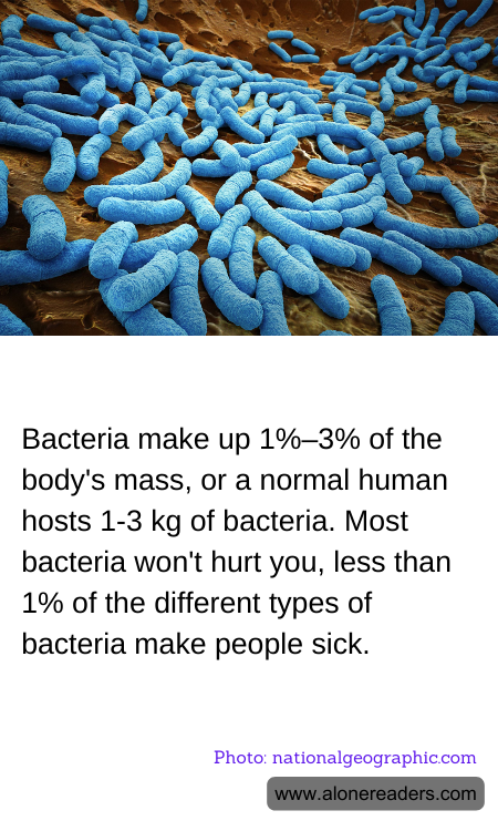 General Knowledge Learning Cards