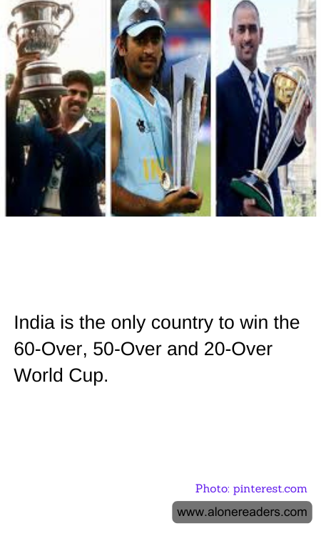 General Knowledge Learning Cards