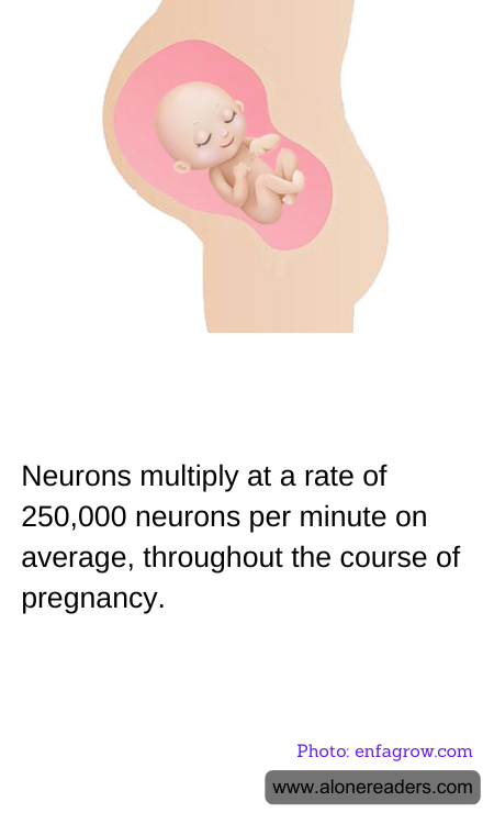 General Knowledge Learning Cards