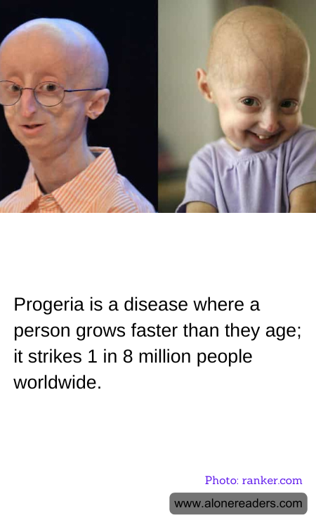 General Knowledge Learning Cards