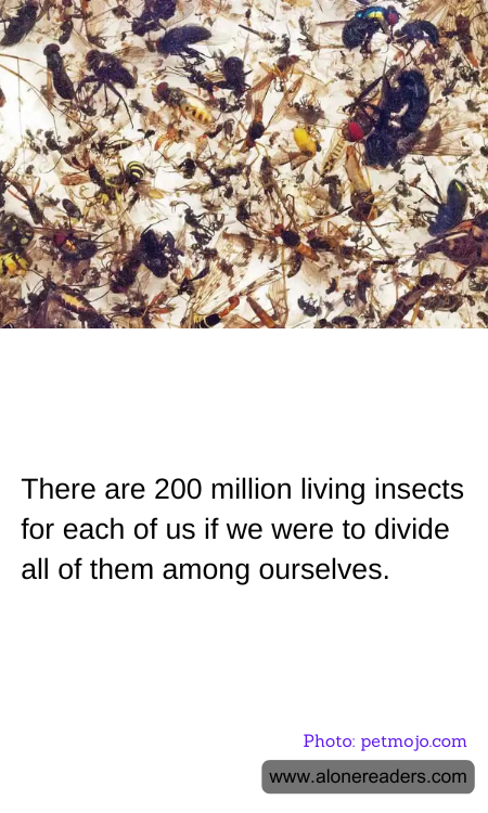 General Knowledge Learning Cards