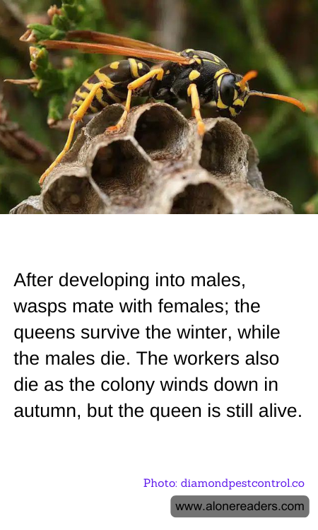 General Knowledge Learning Cards