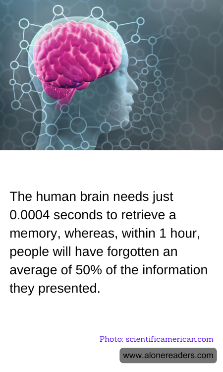 General Knowledge Learning Cards