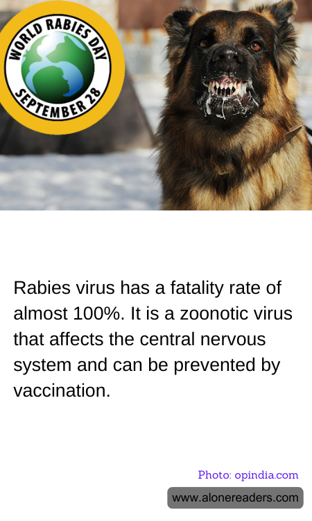 Rabies virus has a fatality rate of almost 100%. It is a zoonotic virus that affects the central nervous system and can be prevented by vaccination.