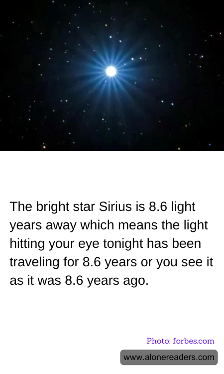 General Knowledge Learning Cards