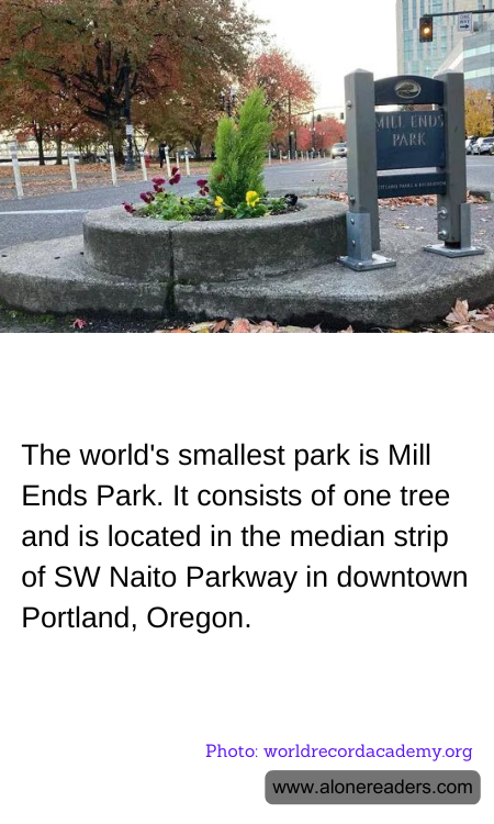 The world's smallest park is Mill Ends Park. It consists of one tree and is located in the median strip of SW Naito Parkway in downtown Portland, Oregon.
