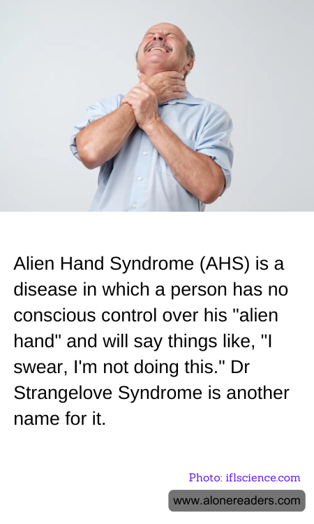 General Knowledge Learning Cards