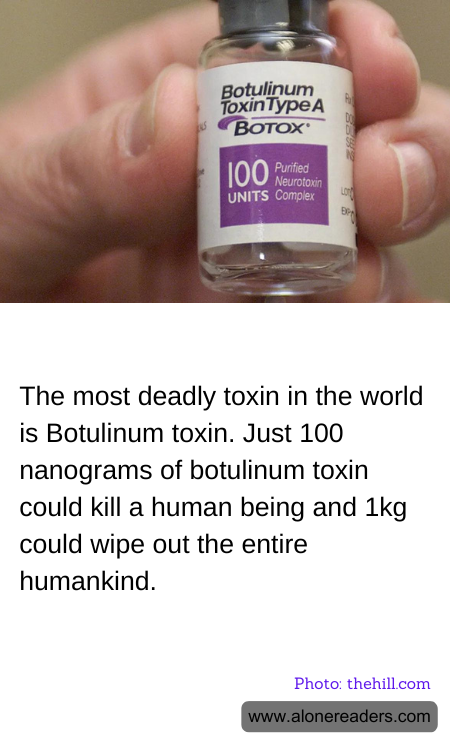 General Knowledge Learning Cards