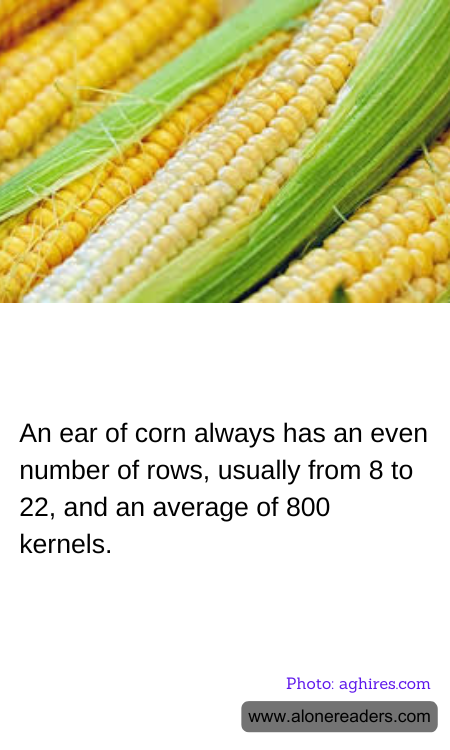 General Knowledge Learning Cards