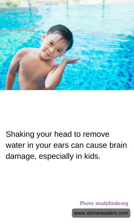 General Knowledge Learning Cards