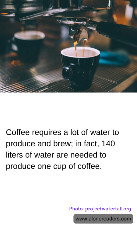 General Knowledge Learning Cards