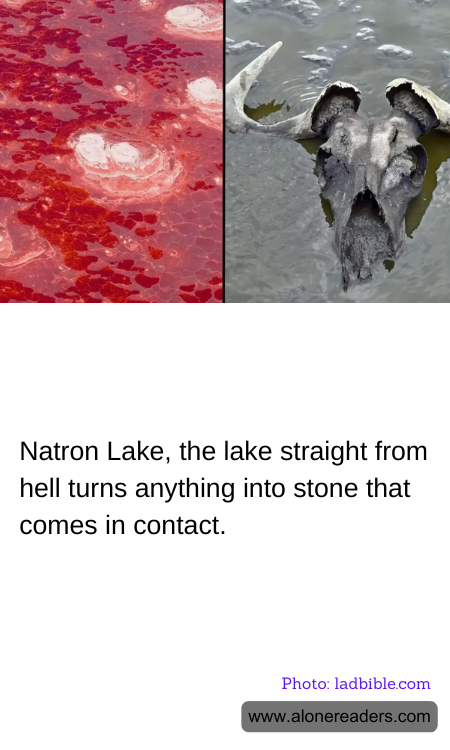 General Knowledge Learning Cards