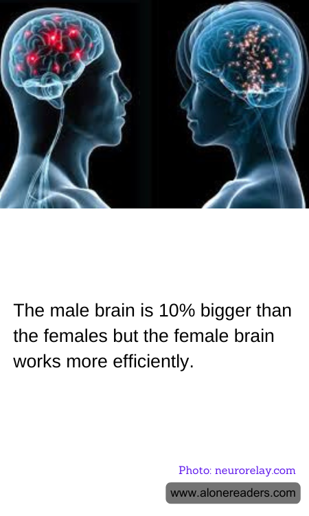 General Knowledge Learning Cards