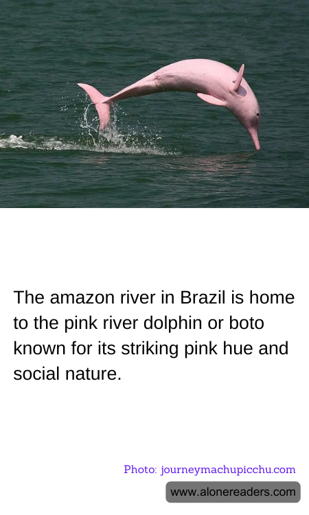 General Knowledge Learning Cards