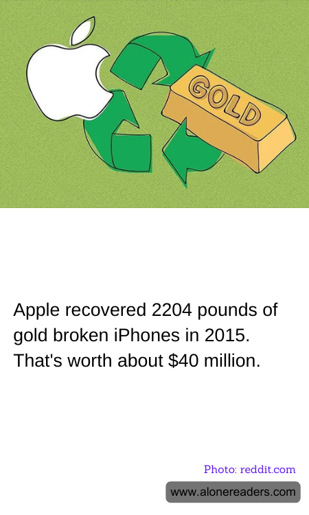 General Knowledge Learning Cards