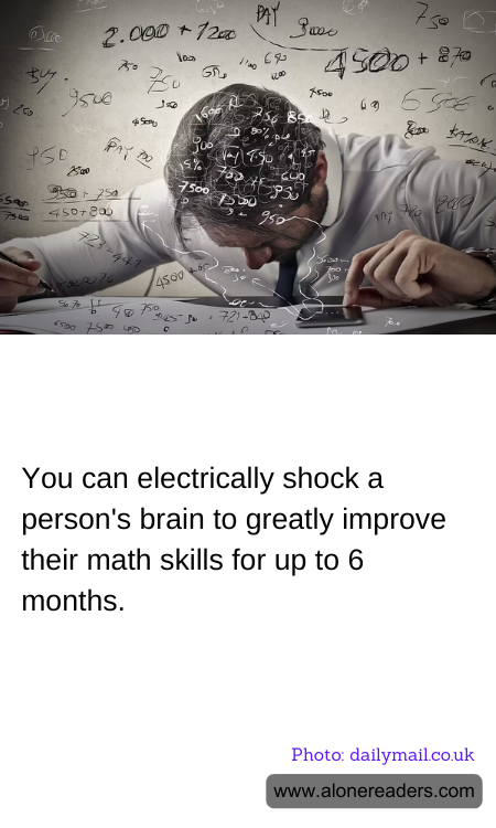 You can electrically shock a person's brain to greatly improve their math skills for up to 6 months.