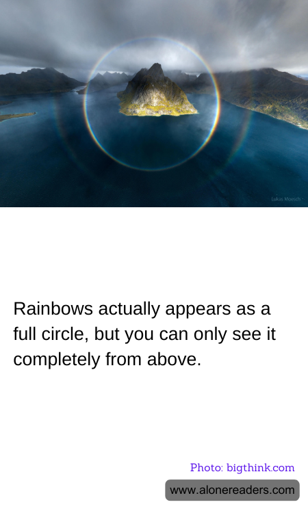 General Knowledge Learning Cards