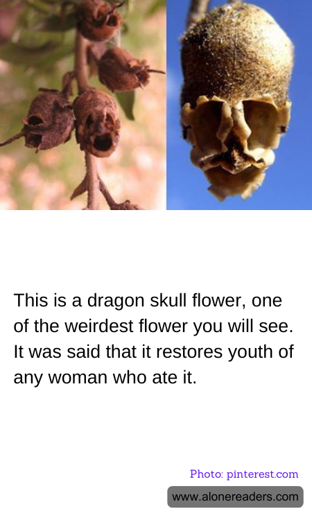 General Knowledge Learning Cards