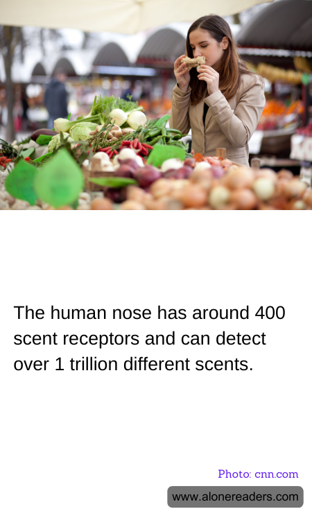 General Knowledge Learning Cards