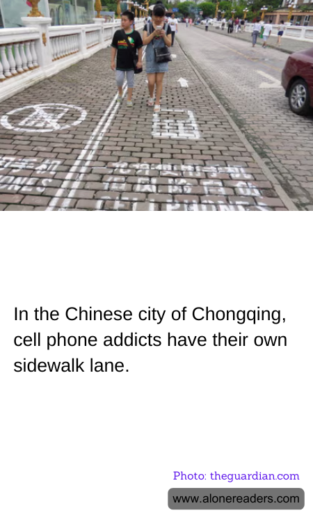 General Knowledge Learning Cards