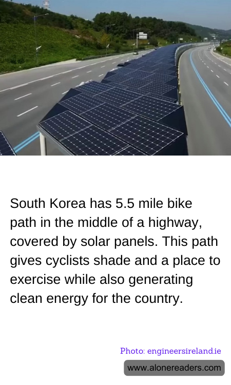 General Knowledge Learning Cards