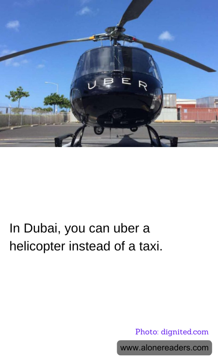 General Knowledge Learning Cards