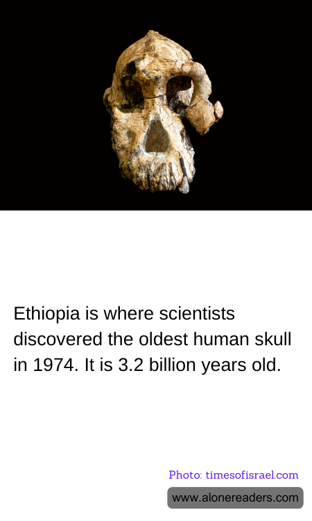 Ethiopia is where scientists discovered the oldest human skull in 1974. It is 3.2 billion years old.